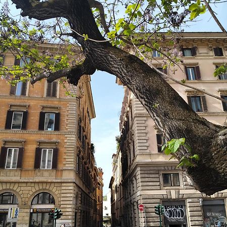Vatican Near Sweet Home Terrace Ρώμη Εξωτερικό φωτογραφία