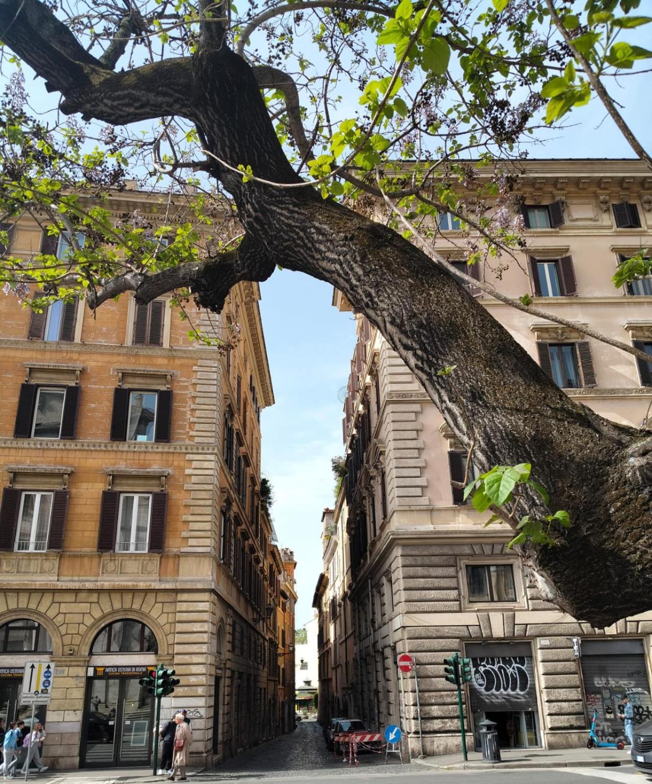 Vatican Near Sweet Home Terrace Ρώμη Εξωτερικό φωτογραφία